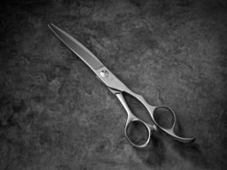 HHP Pai Mei - 5.5 Inch Right Handed Professional Shears - Premium Nano Powder Steel