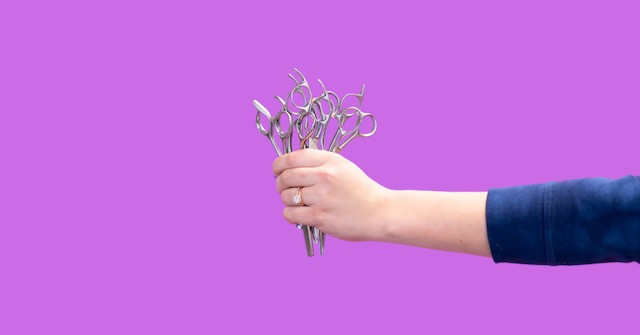 6 Best Hanzo Shears