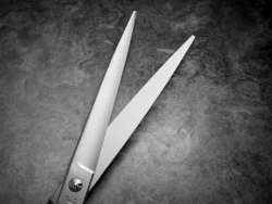 HH21 Gokai - 8.0 Inches Right Handed - Carbon Steel - Ideal Point Cutting Shears