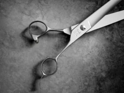 HH21 Gokai - 8.0 Inches Right Handed - Carbon Steel - Ideal Point Cutting Shears