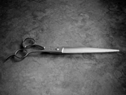 HH21 Gokai - 8.0 Inches Right Handed - Carbon Steel - Ideal Point Cutting Shears