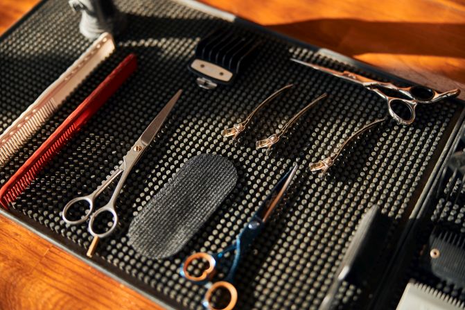 forged shears vs cast shears comparison