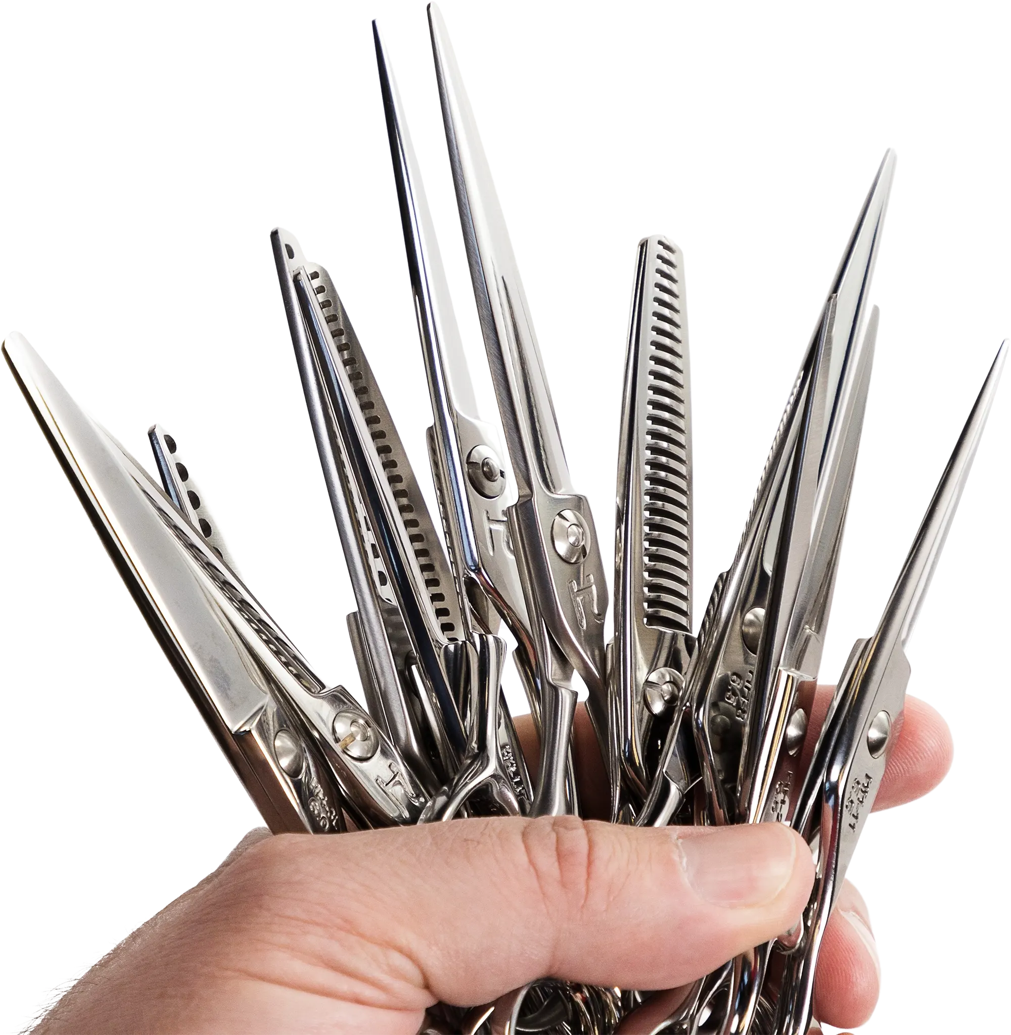 Hanzo Family Shears in hands